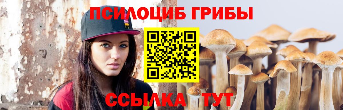 сколько стоит  Вход с VPN  Кизилюрт  Галлюциногенные грибы MAGIC MUSHROOMS  Галлюциногенные грибы MAGIC MUSHROOMS 